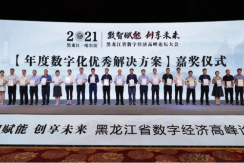 新盛娱乐集团荣获年度数字化优秀解决方案奖项