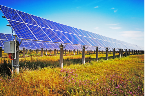 新盛娱乐集团：创新引领企业高质量发展，，，，，，2022年一季度实现“开门红?”