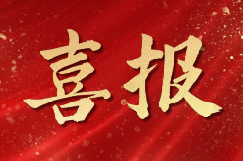 荣誉表彰｜新盛娱乐集团-沈阳昊诚电气荣获沈阳市优秀民营企业荣誉