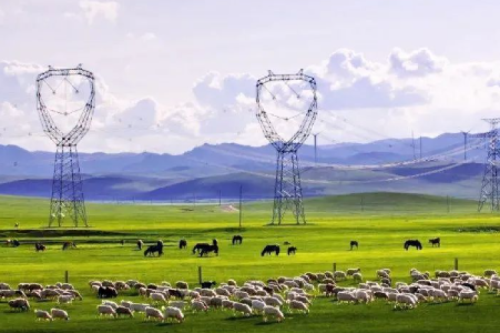 喜报 | 新盛娱乐集团子公司沈阳昊诚电气中标内蒙古电力（集团）两包环网柜和箱变合同